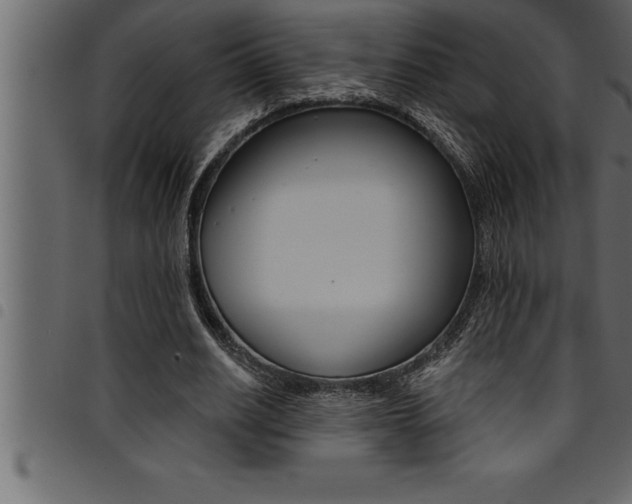 X0000094920630200711291023