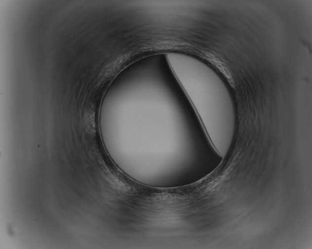X0000094920633200711291023