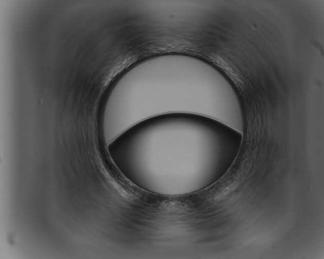 X0000094920634200711291023