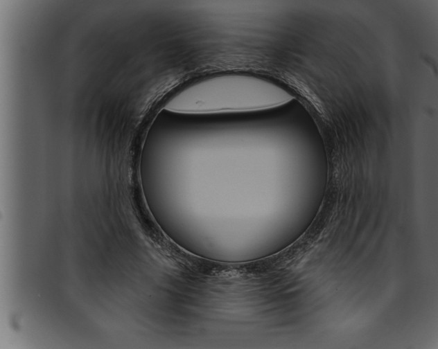 X0000094920635200711291023