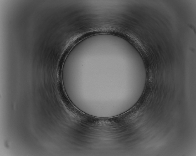 X0000094920636200711291023