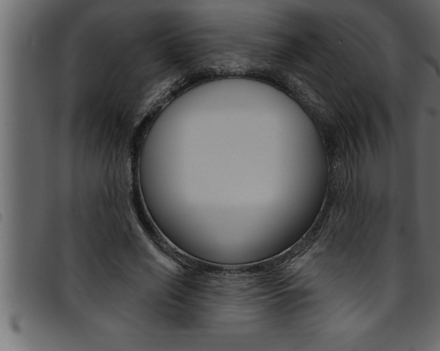 X0000094920638200711291023