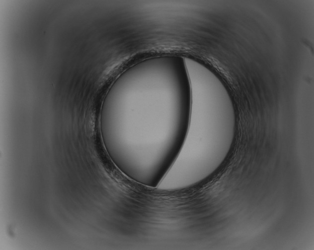 X0000094920640200711291023