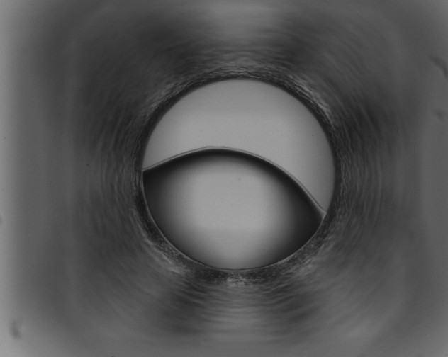 X0000094920641200711291023