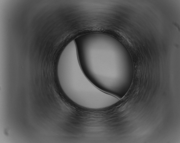 X0000094920643200711291023
