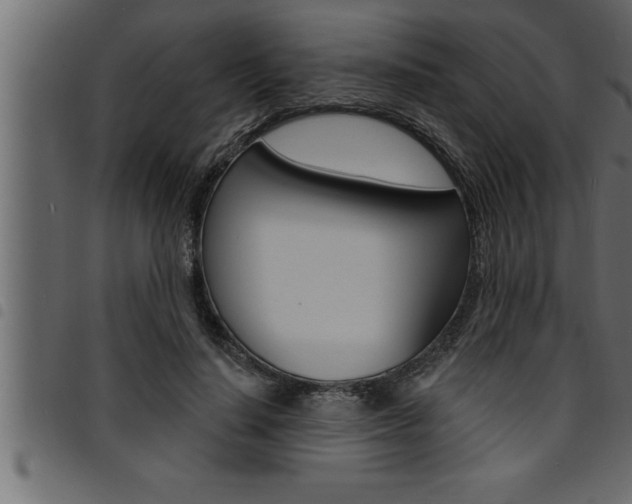X0000094920644200711291023