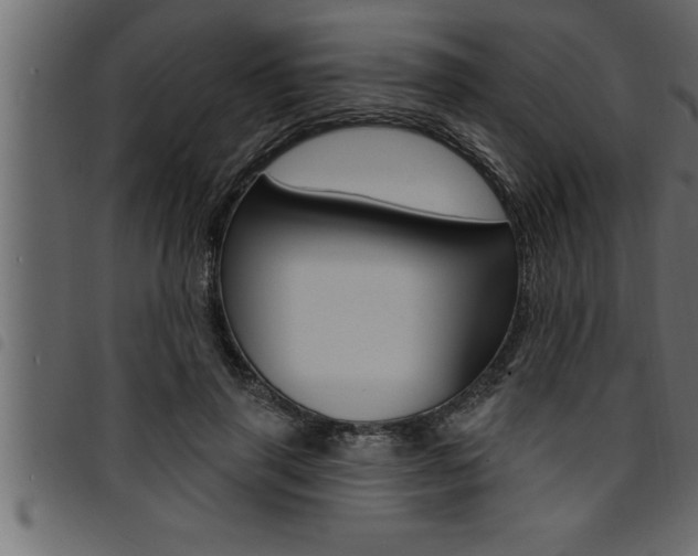 X0000094920645200711291023