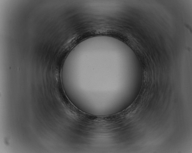 X0000094920648200711291023