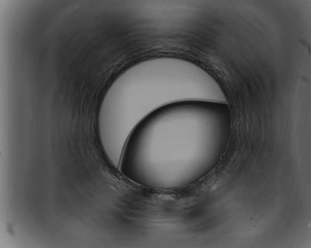 X0000094920649200711291023