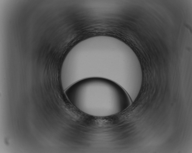 X0000094920650200711291023