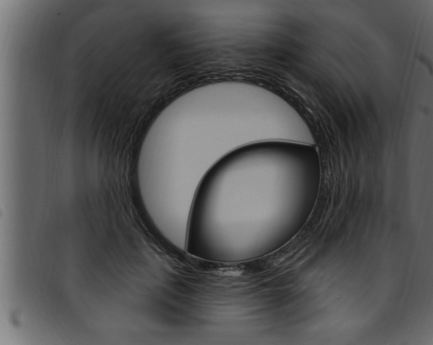 X0000094920651200711291023