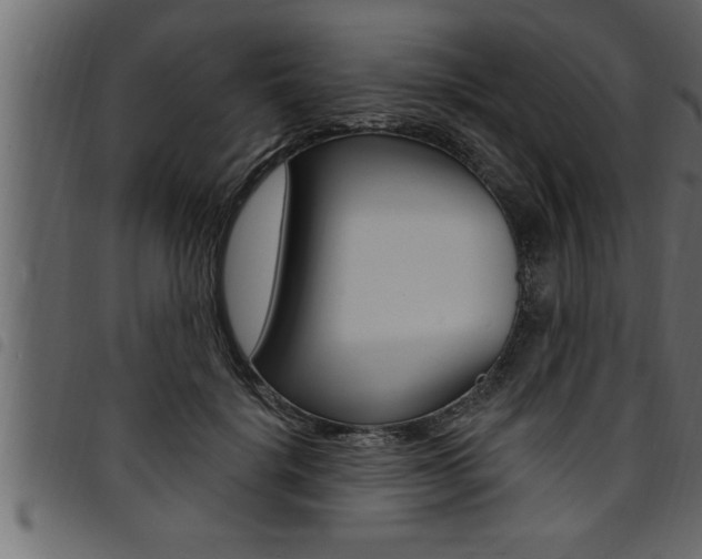 X0000094920652200711291023