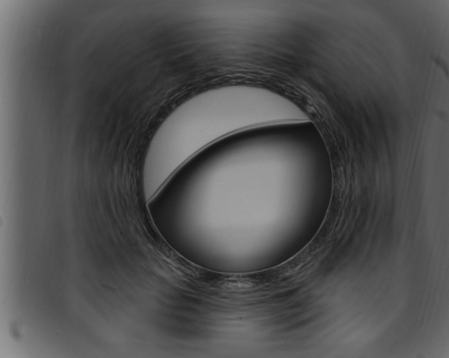 X0000094920653200711291023
