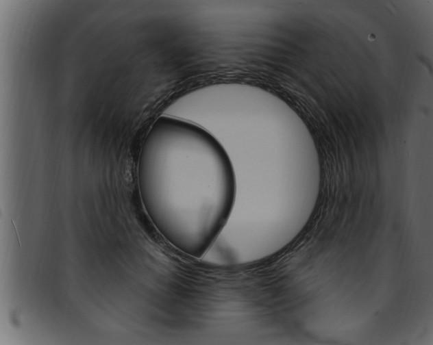 X0000094920654200711291023