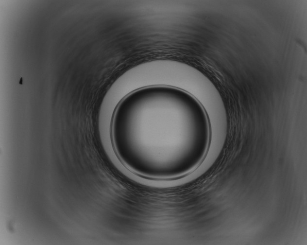 X0000094920655200711291023