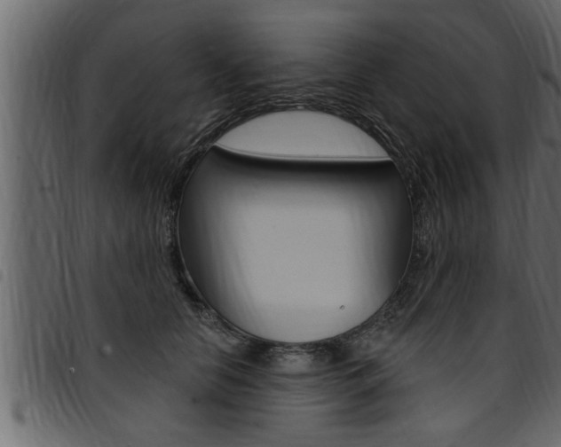X0000094920658200711291023