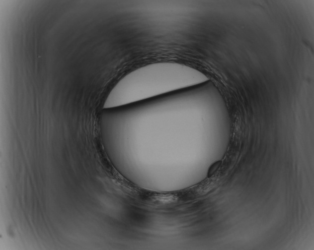 X0000094920659200711291023
