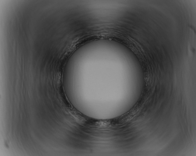X0000094920660200711291023