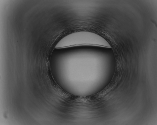 X0000094920661200711291023
