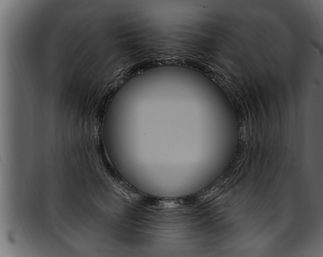 X0000094920662200711291023