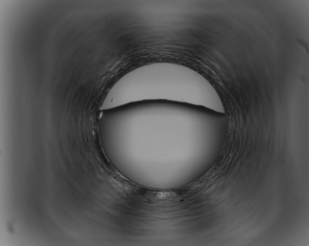 X0000094920663200711291023