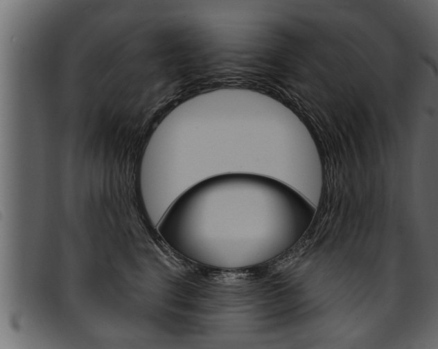 X0000094920664200711291023