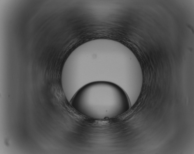 X0000094920665200711291023