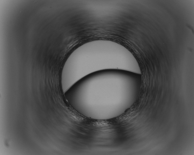 X0000094920668200711291023