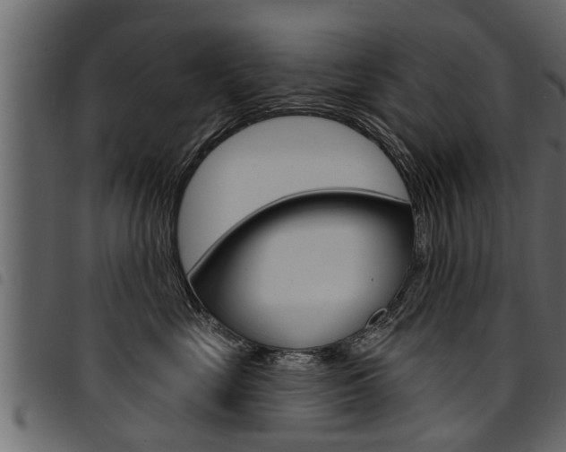 X0000094920669200711291024