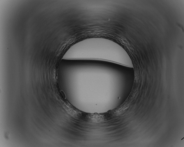 X0000094920670200711291024