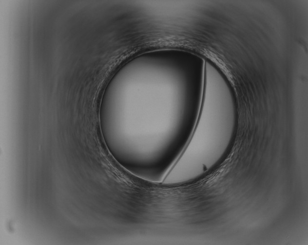 X0000094920673200711291023