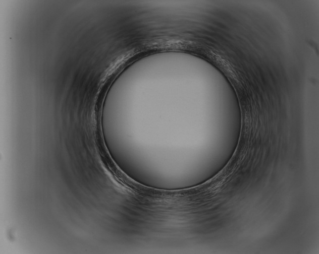 X0000094920674200711291023
