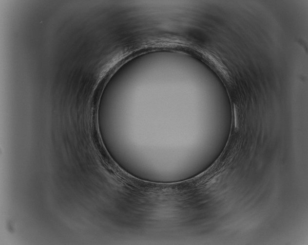 X0000094920675200711291023