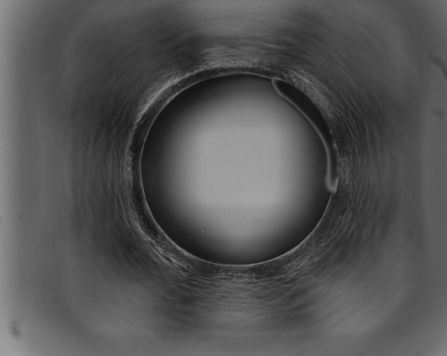 X0000094920676200711291023