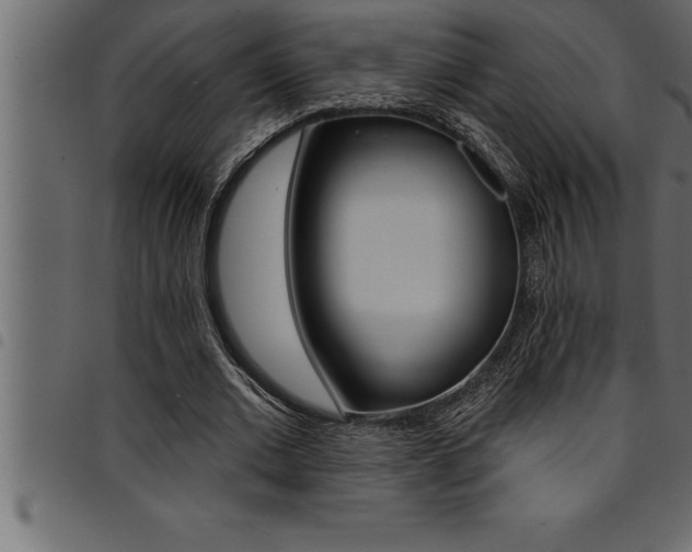 X0000094920677200711291023