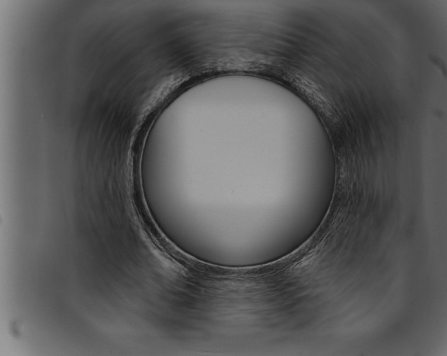 X0000094920678200711291023