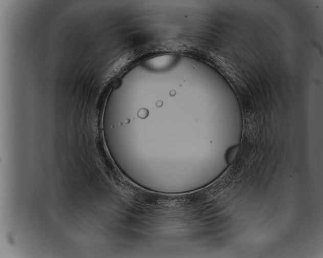 X0000094920679200711291023