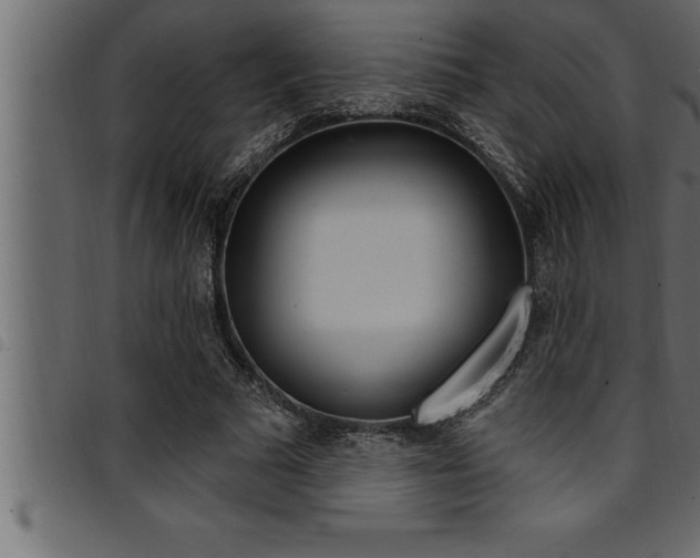 X0000094920681200711291023