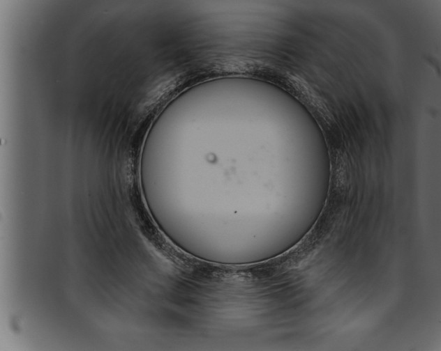 X0000094920683200711291023