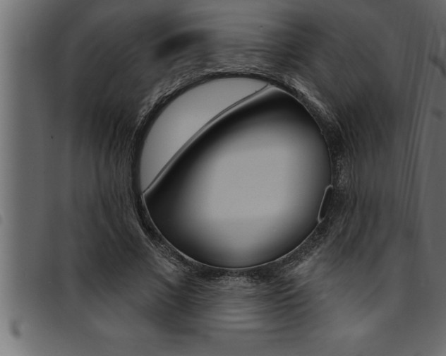 X0000094920685200711291023
