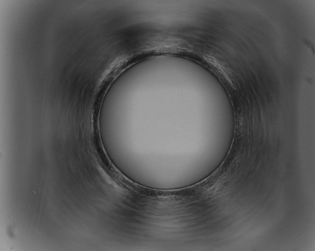 X0000094920686200711291023