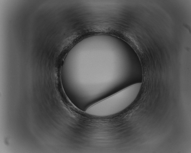 X0000094920688200711291023