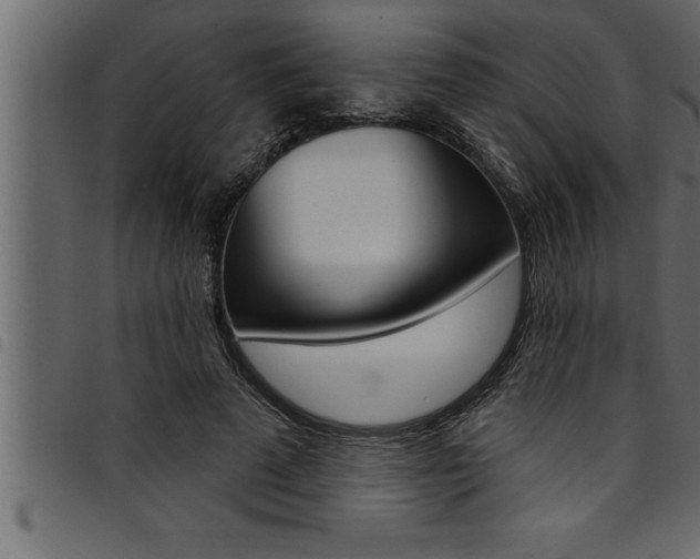 X0000094920689200711291023
