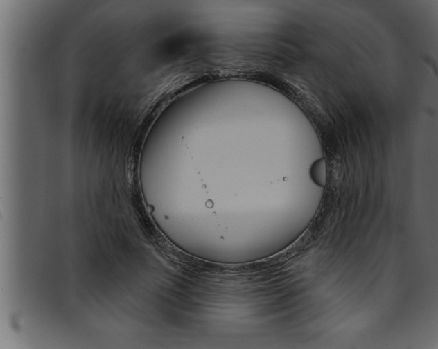 X0000094920691200711291023