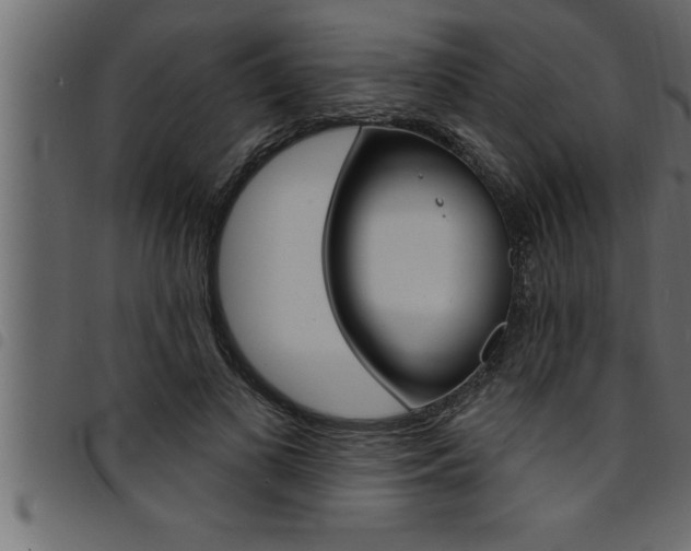 X0000094920693200711291023