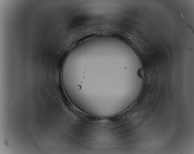 X0000094920695200711291023