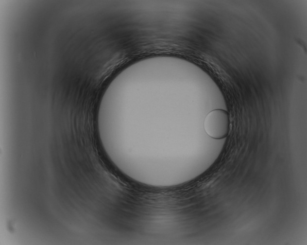 X0000094920696200711291023