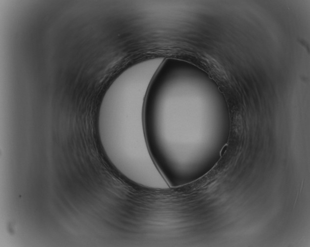 X0000094920697200711291023