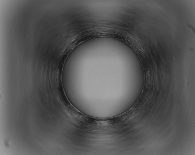 X0000094920698200711291023