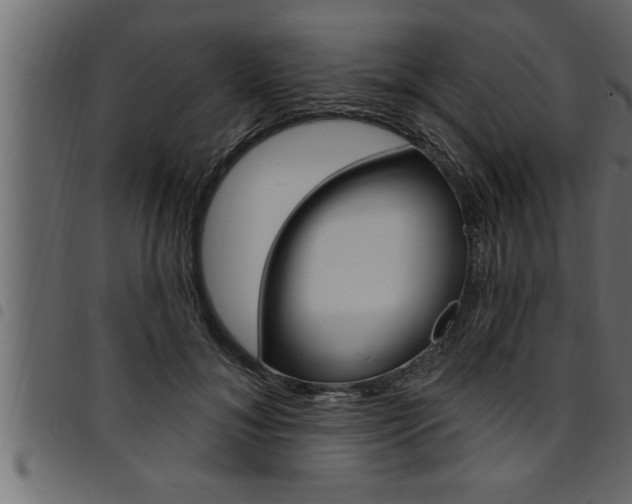 X0000094920700200711291023